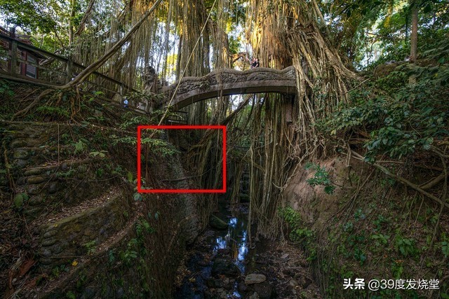 浣宠兘骞胯闀滃ご15-35,浣宠兘rf骞胯闀滃ごrf18