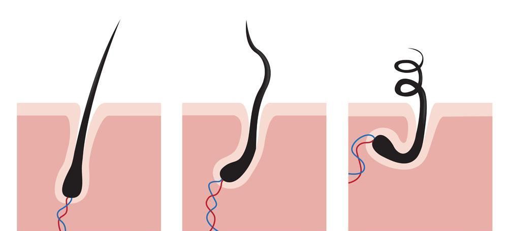 发量增多的实用小技巧,发量少怎么拯救