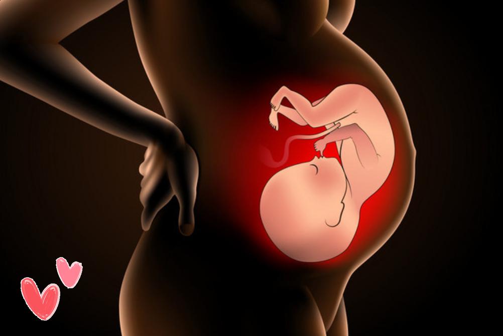 孕期孕后冷知识,孕期冷知识宝宝的便便