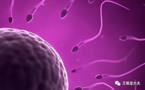 一篇文章让你秒懂精液分析报告单
