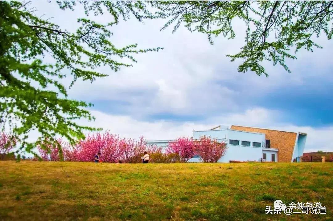 浙江看日本樱花最佳地方,浙江赏樱花最佳地排行榜