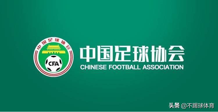 分析一下中国足球的现状,请分析一下中国足球的现状和问题