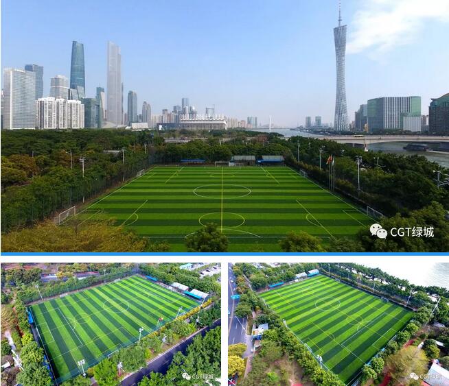 国外人造草坪足球场,高端人造草足球场