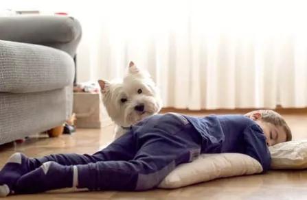 计划列出来就搁置，孩子总是只“想”不做，根本问题是行动力不足