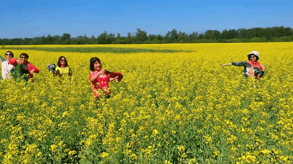 东北边疆,东北行游记2019