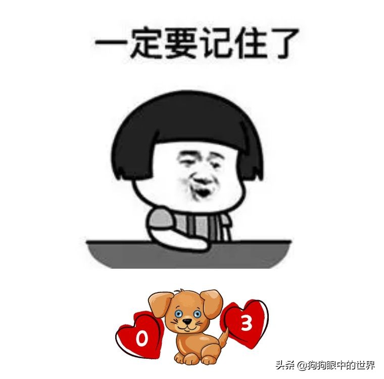 狗狗感冒好了没几天又感冒了,狗狗感冒好了之后还是没精神