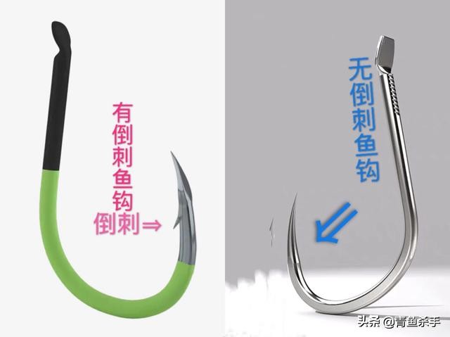 钓大青鱼钩选择多大的合适,钓青鱼最佳鱼钩选择