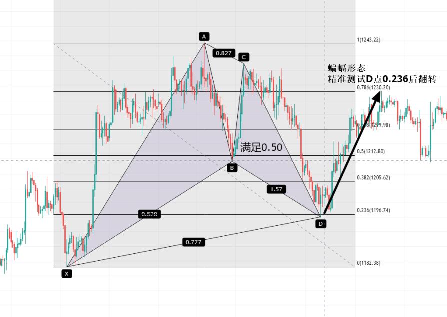 蝙蝠形态和蝴蝶形态指标,汇课堂深度解读