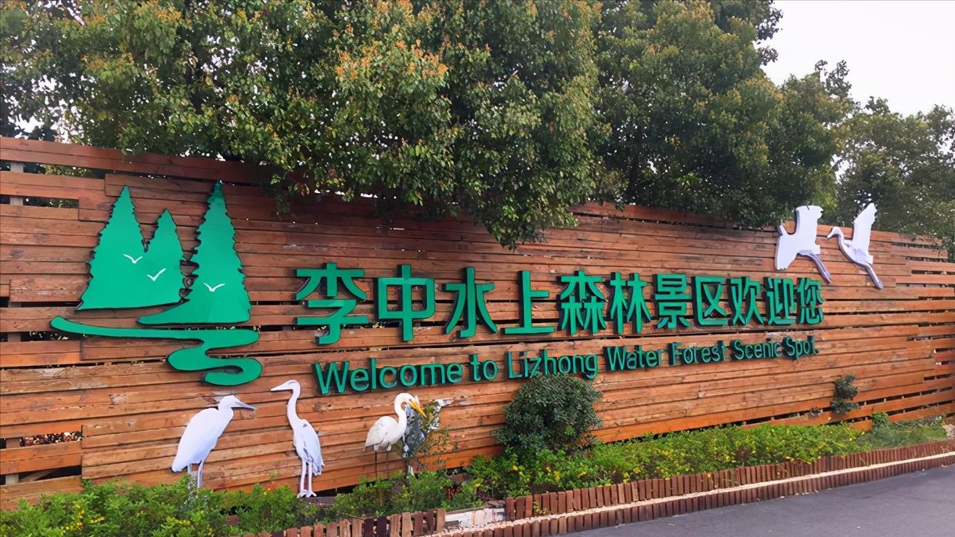 江苏省泰州市区域划分图,江苏泰州市属于华南还是华东