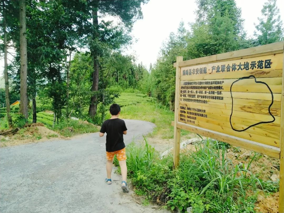 恩施鹤峰旅游攻略一天,恩施鹤峰旅游攻略