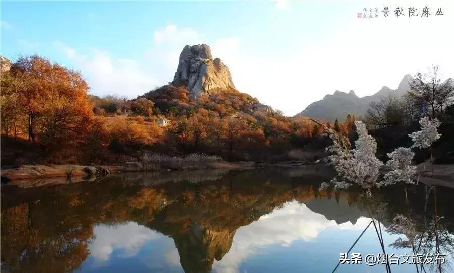 閬囪閱夌編閲戠,閬囪閱夌編閲戠鏂囨梾绯诲垪娲诲姩鍙戝竷