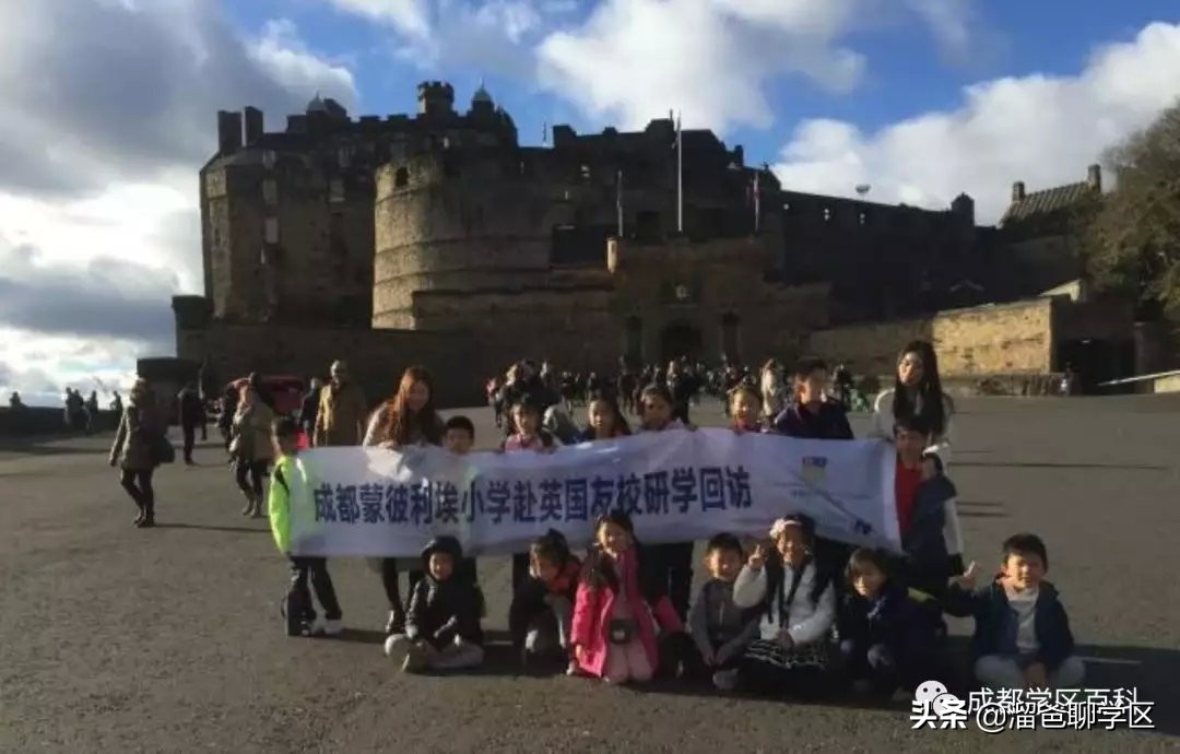 大源片区小学排名,高新区大源片区学校排名