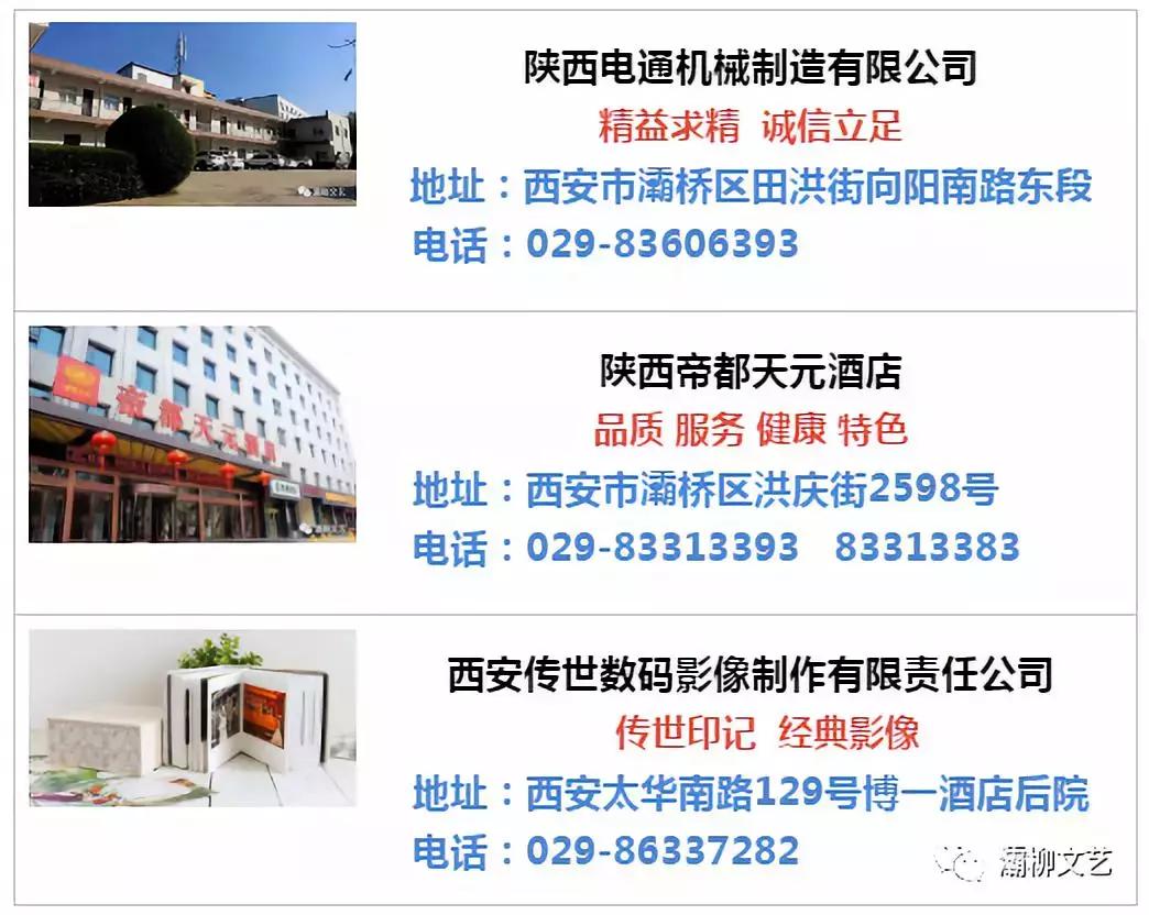 中国西部文苑｜四院文化群健步远征群欢歌热舞迎新年