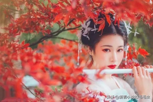 古言兄妹情深的小说,古言姐弟高质量耐看的小说推荐