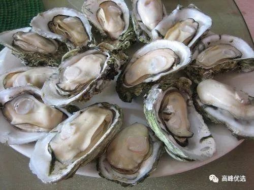 肥嫩美味的生蚝私藏美食大分享,生蚝夜宵美食推荐