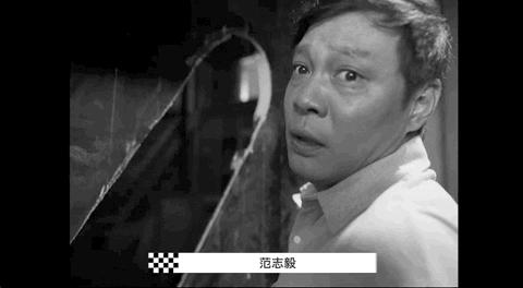 vanschina范志毅,范志毅vans