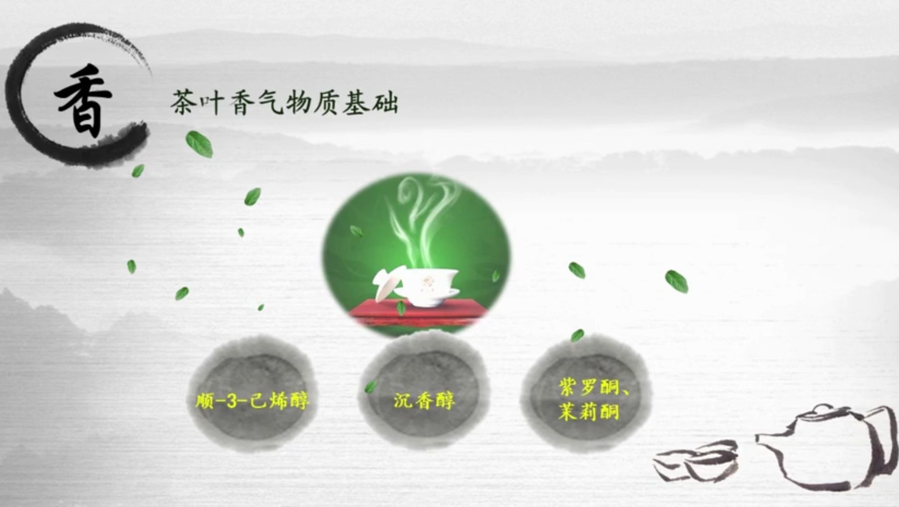 茶叶的外形鉴赏,茶叶的鉴赏