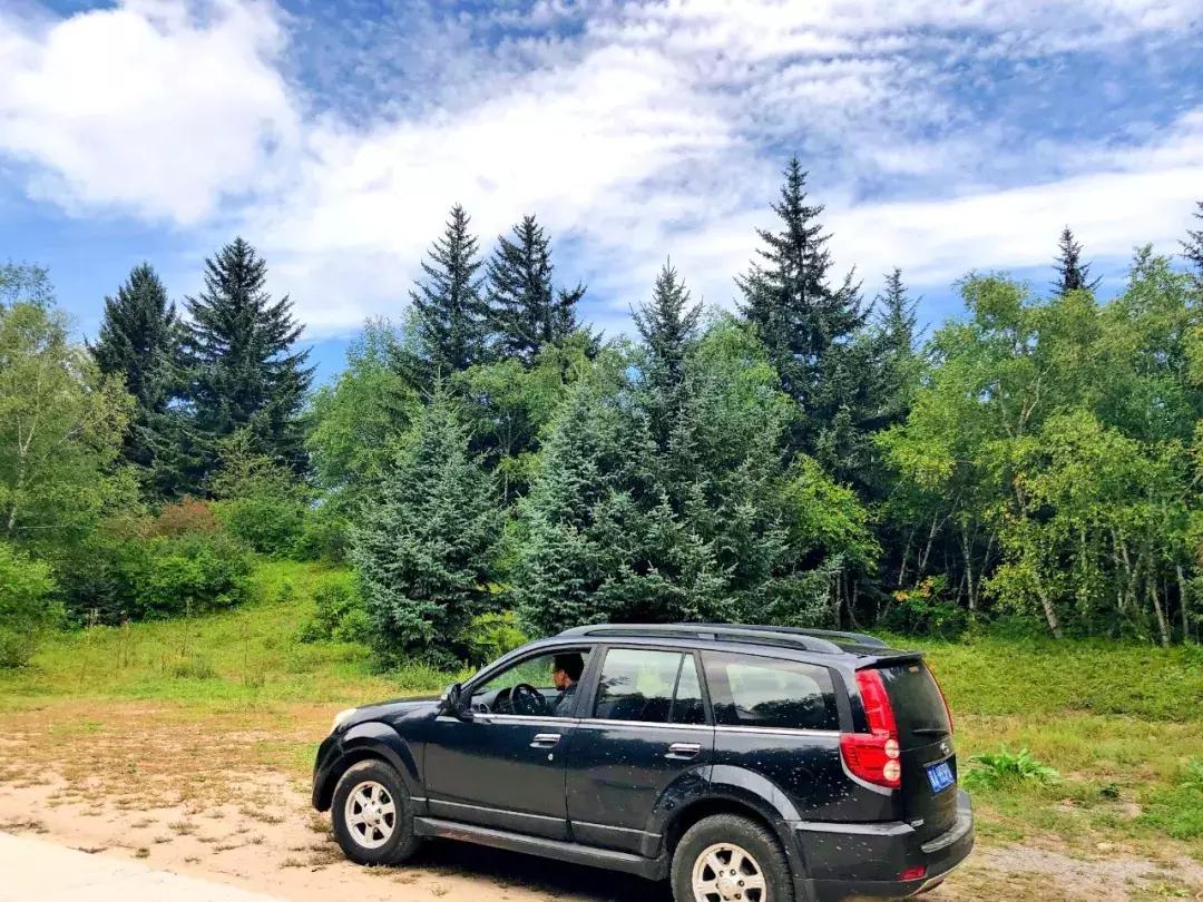 千松坝国家森林公园看云海,在万米的高空看云海