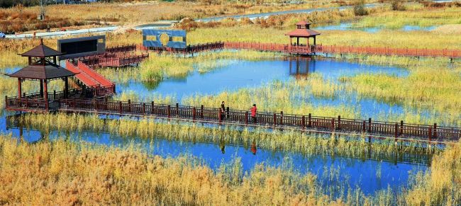 2019合阳县旅游文化,合阳文化旅游视频