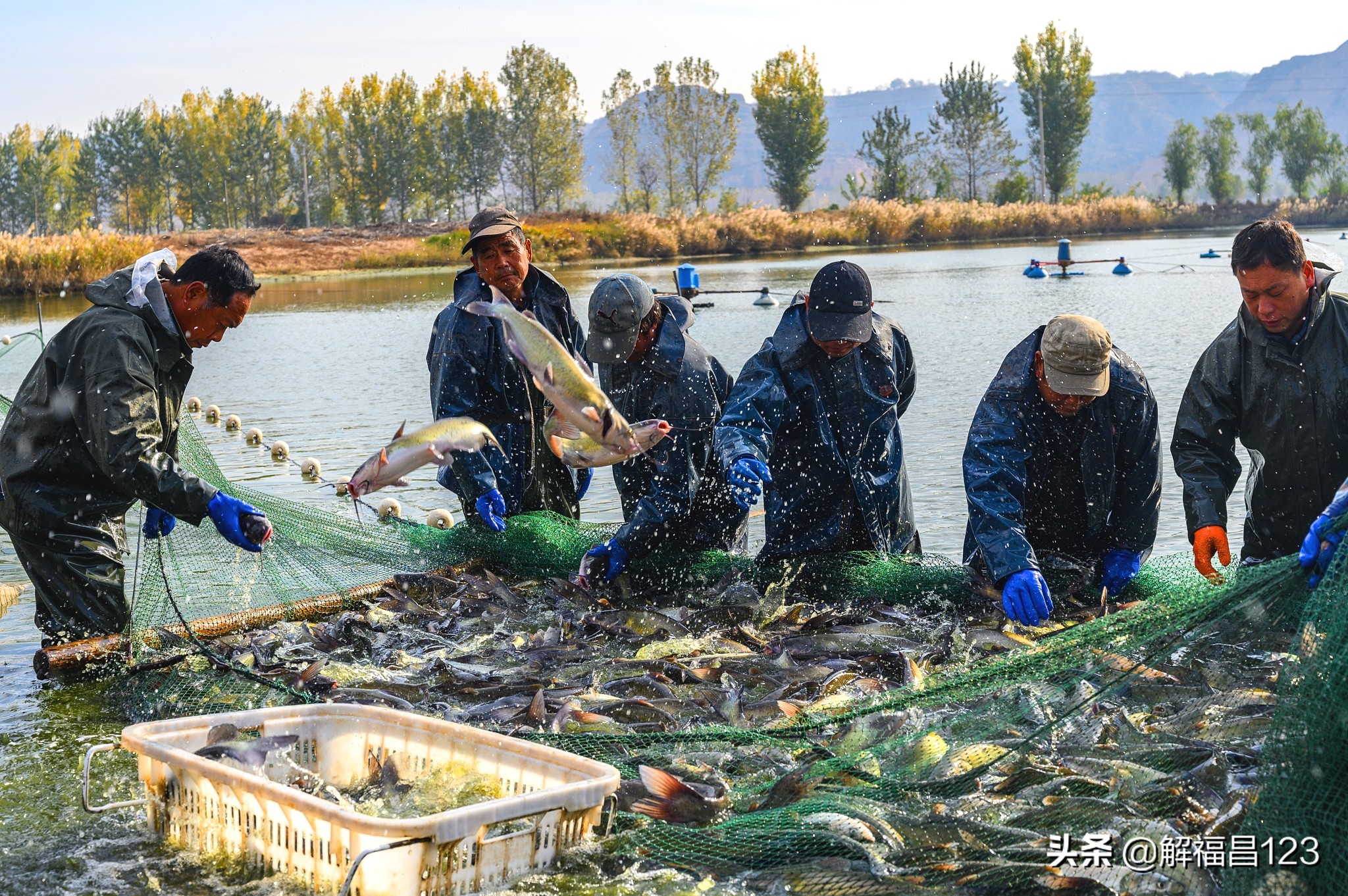 农村承包鱼塘养鱼一年能赚多少钱,5000亩的鱼塘养鱼一年能挣多少钱