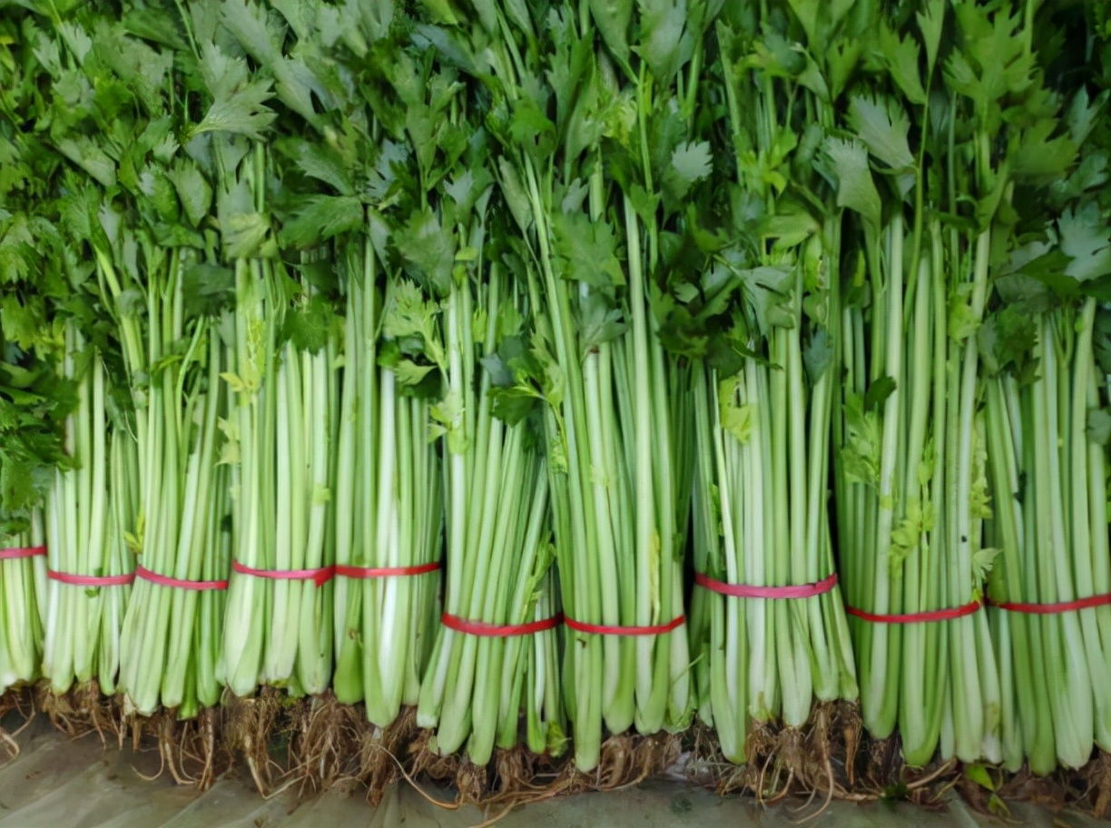 阿莫西林不是治疗细菌感染的吗,阿莫西林不是消炎药