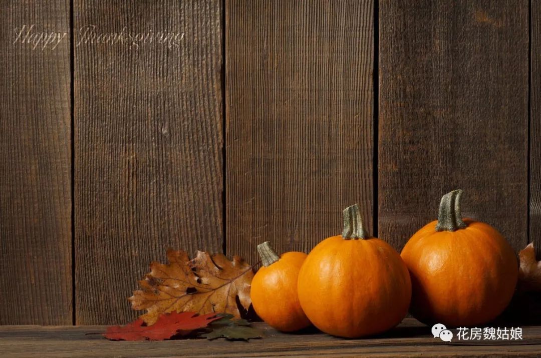 环球旅行感恩节,感恩节旅途