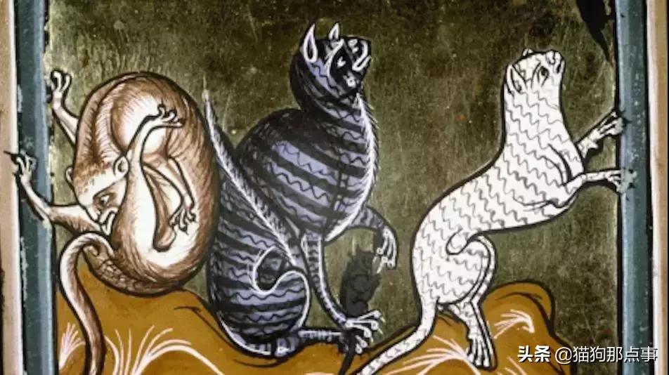 爱我，就给我舔屁股吧