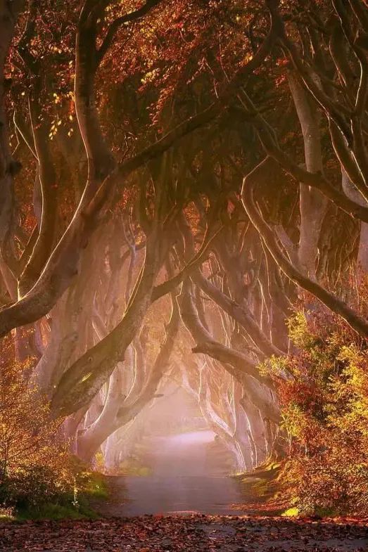 去了这30个地方一生就值得了,此生一定要去的14个地方