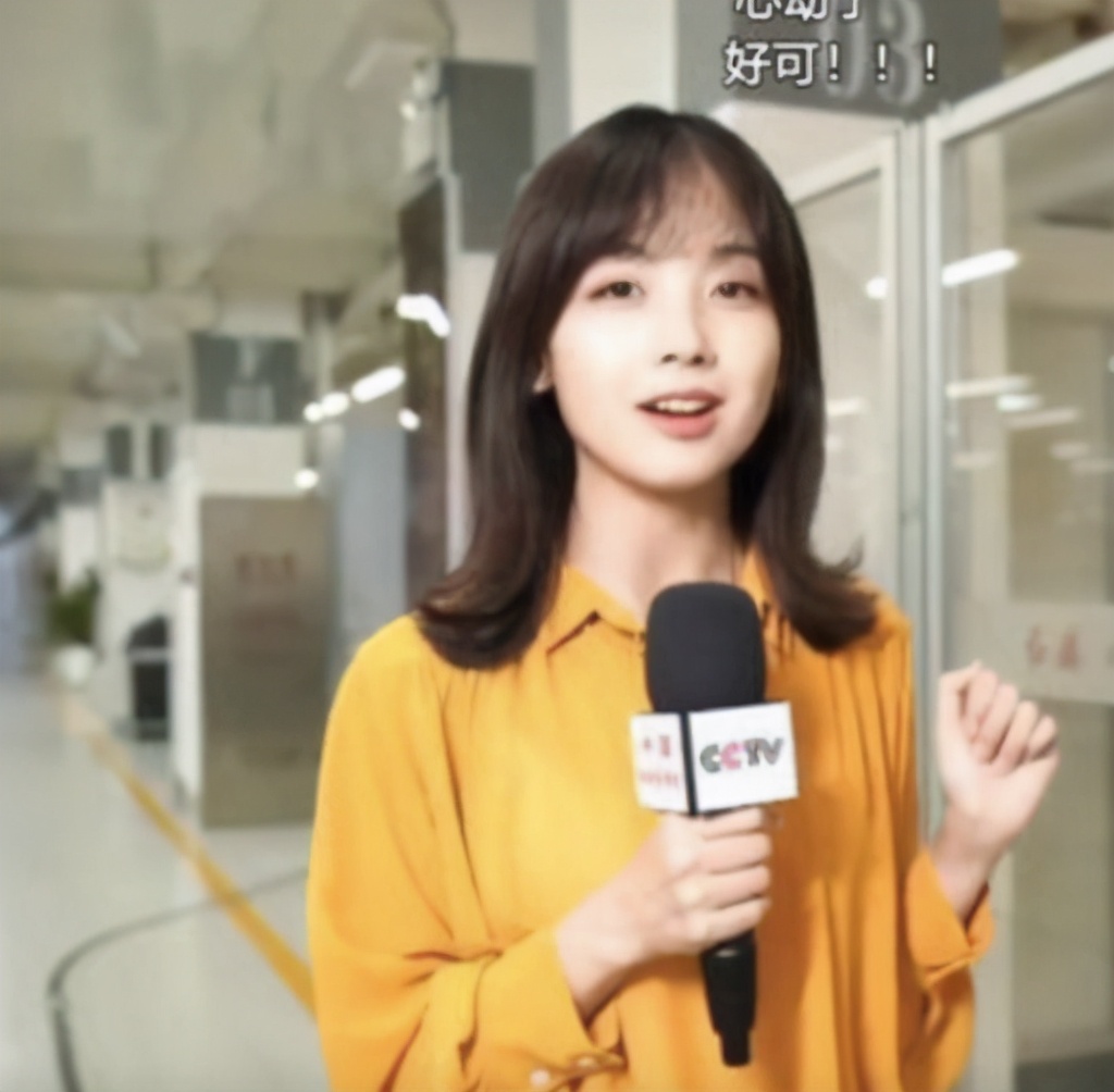 看央视电视剧,最萌主持人