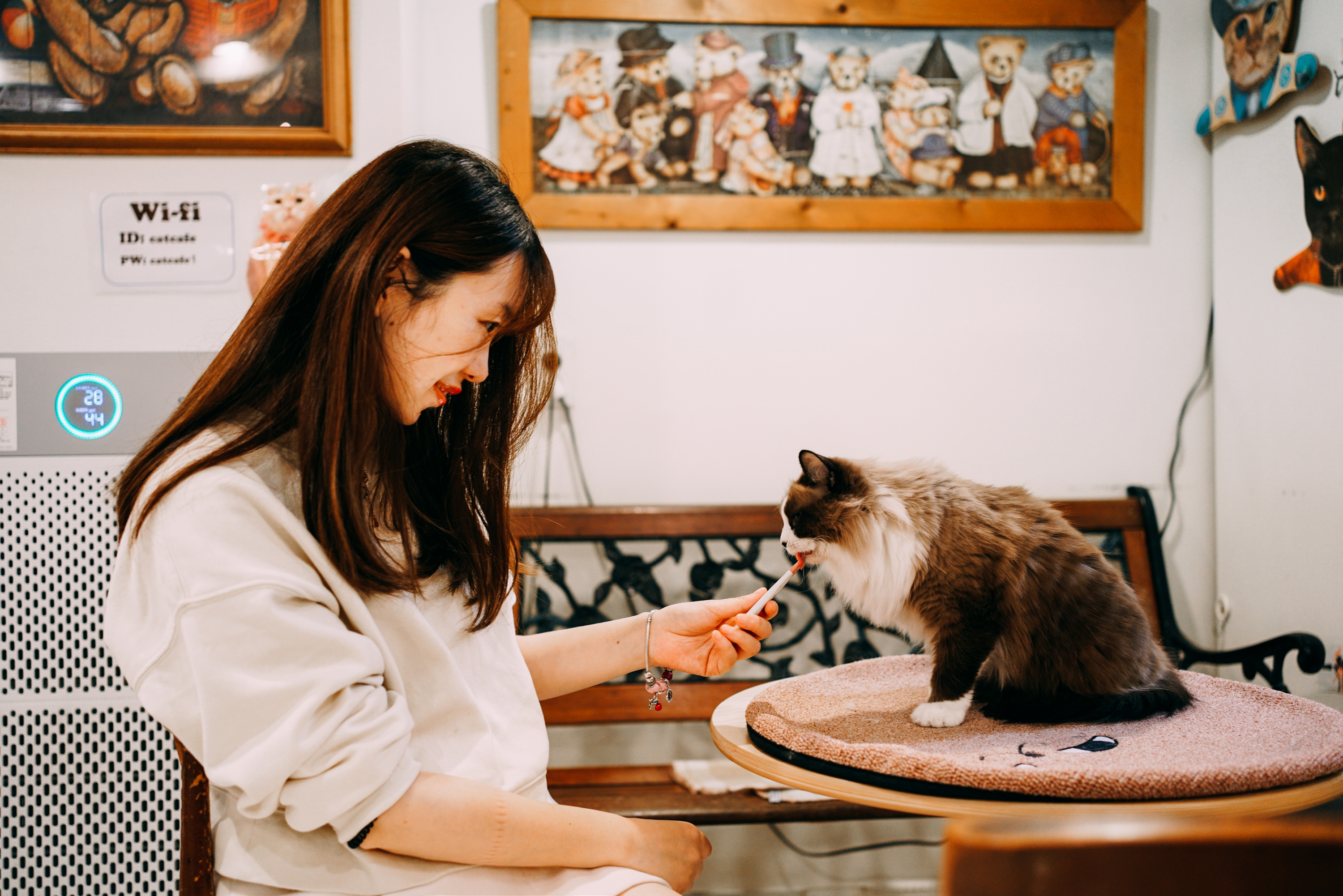 韩国旅游浪漫之行,韩国旅途中的邂逅