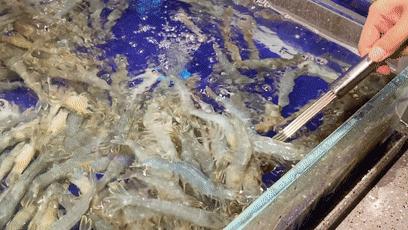 爽到爆的美食,爽到爆吃海鲜