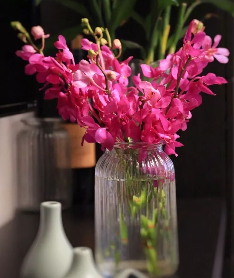 过年家里必摆的九道菜,过年家里摆的喜庆的物件