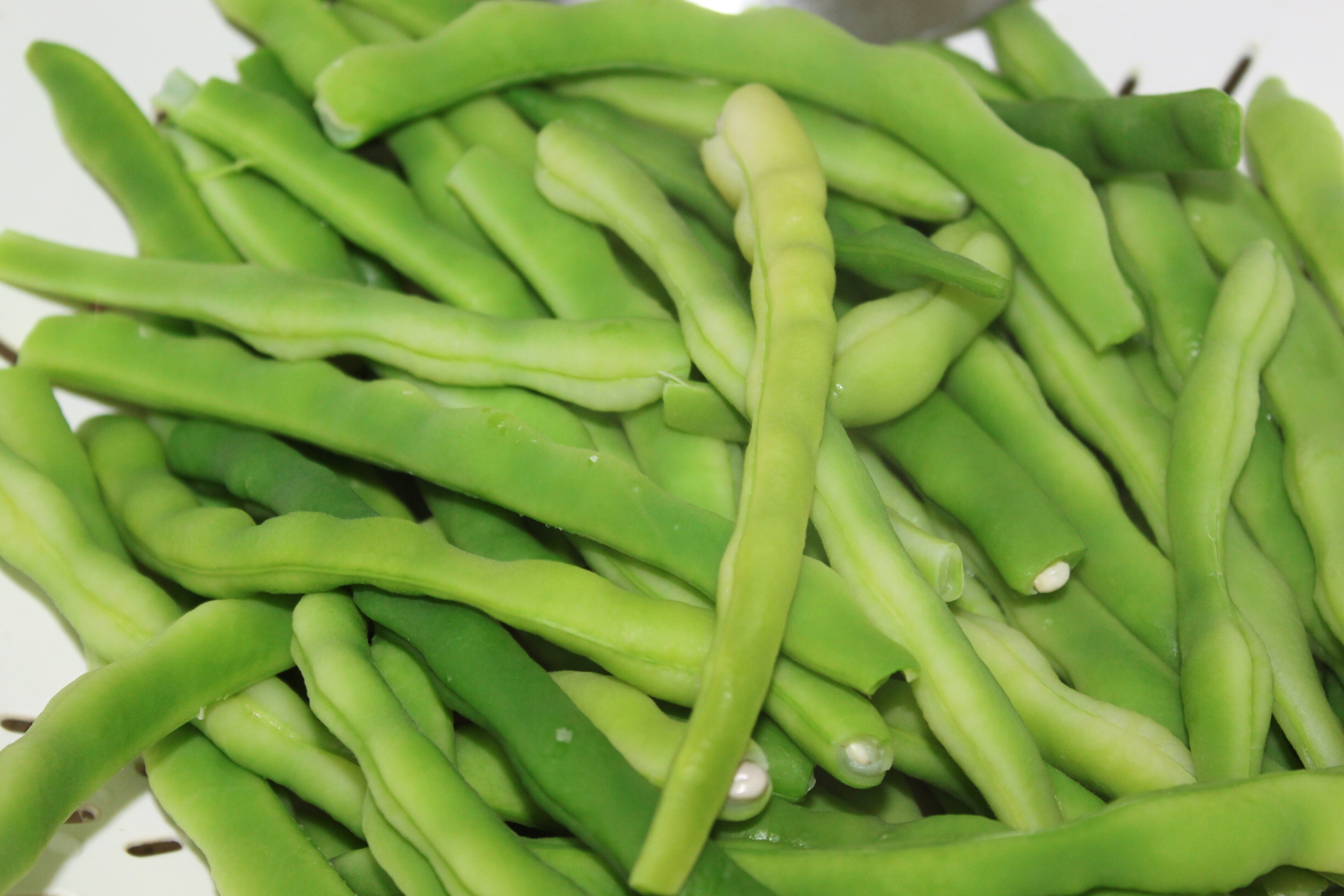 粤菜肉末橄榄菜四季豆的做法大全,橄榄菜炒四季豆的做法窍门是什么