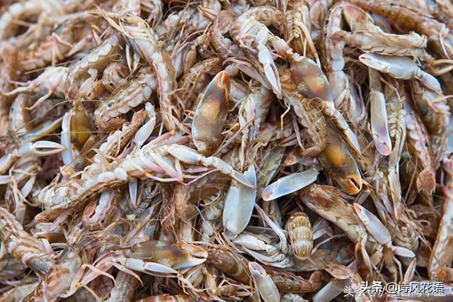 家乡印象海鲜,家乡味道舌尖上的美食