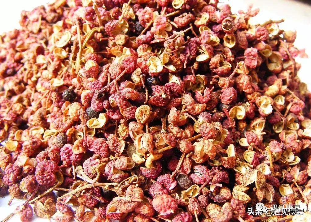 遇见康县丨遇见“万宝山”(一)