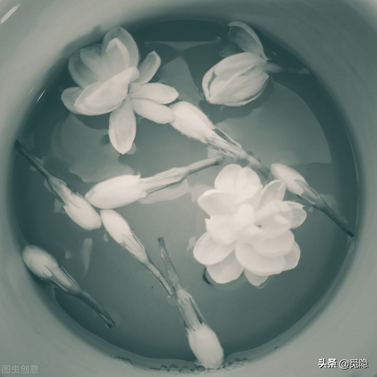 虚空济生语录,虚空济情语录