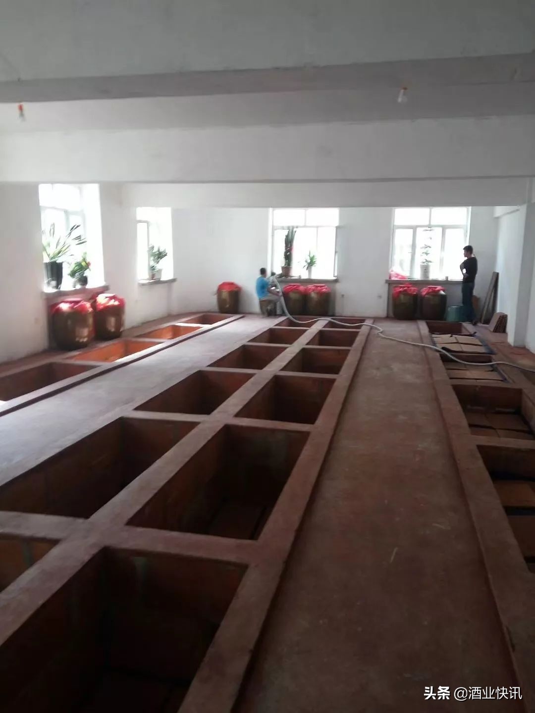 白酒知识酒文化,白酒知识粮食酒