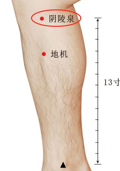 人老腿先衰，一身阴毒藏在那？文／陈才