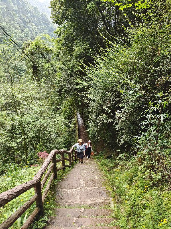 大型氧吧机,森林公园吸氧