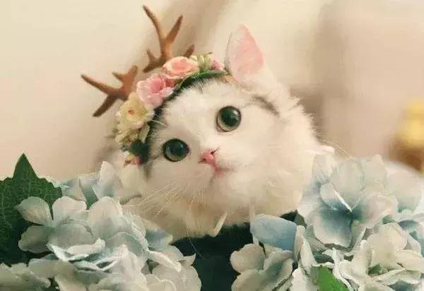 这代年轻人为什么很迷茫,这一代年轻人远比老一辈人要优秀