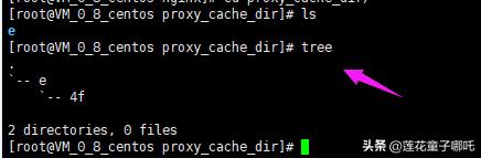 缓存架构,缓存结构