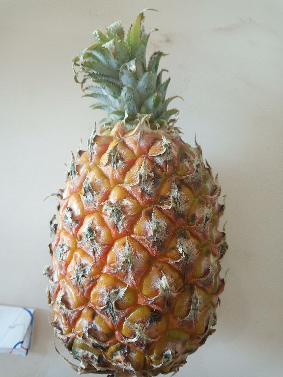 教你如何正确吃菠萝,一百种方法教你如何吃菠萝