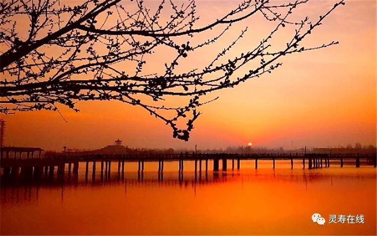 最新评定！祝贺！灵寿这些公园、小区、单位获省级命名