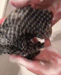 热卖搓澡巾,强力搓泥搓澡巾包邮