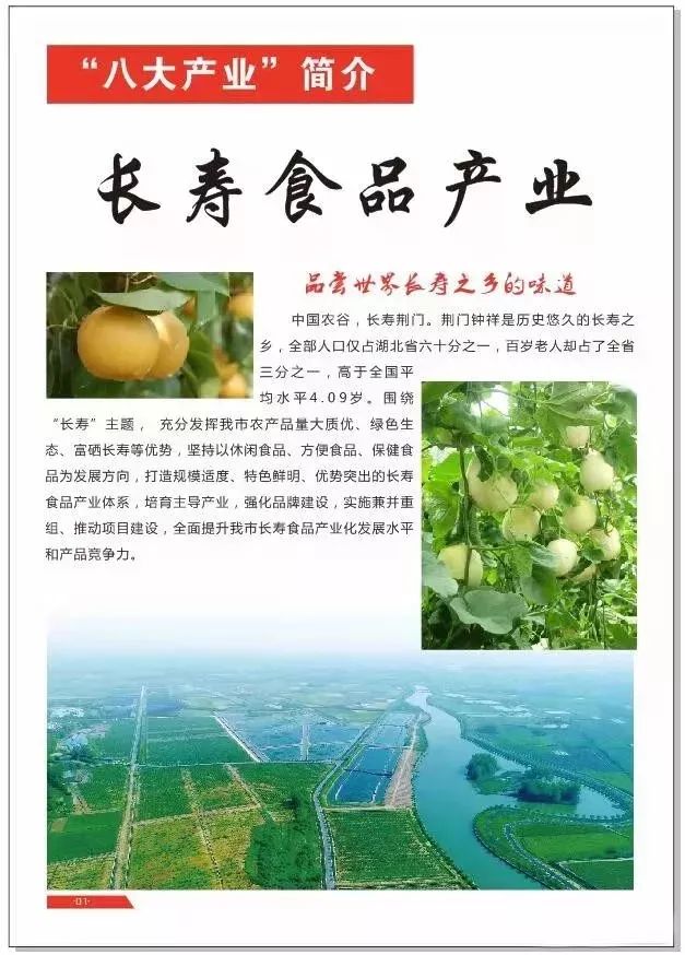 “荆品名门”荣获2019年“中国农业品牌建设学府奖”
