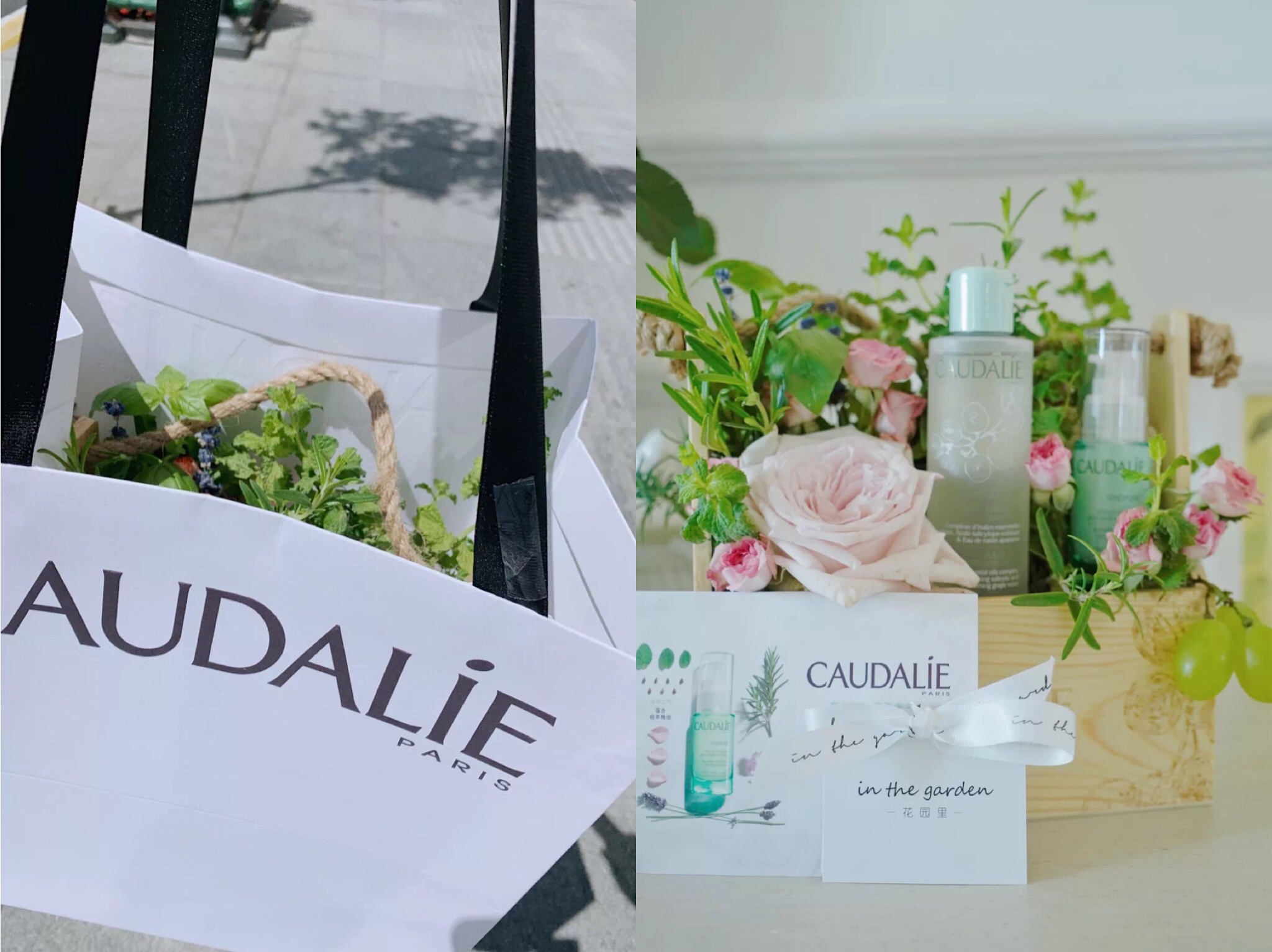 欧舒丹娇韵诗卸妆油,娇韵诗bobbibrown卸妆油