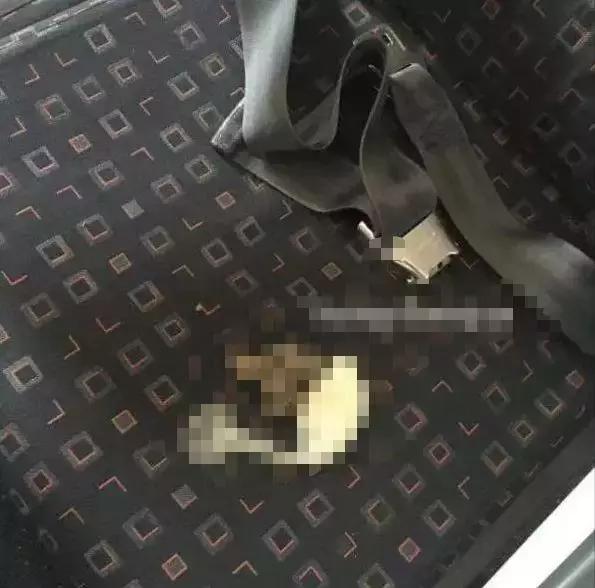 空姐为什么不喜欢喝可乐,空姐旅客为什么不喝可乐雪碧