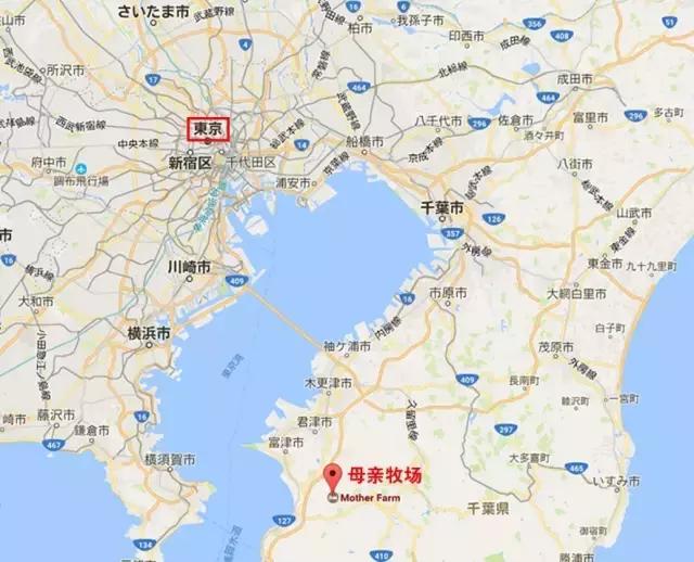 日本顶级农业农场,日本田园农场排行榜