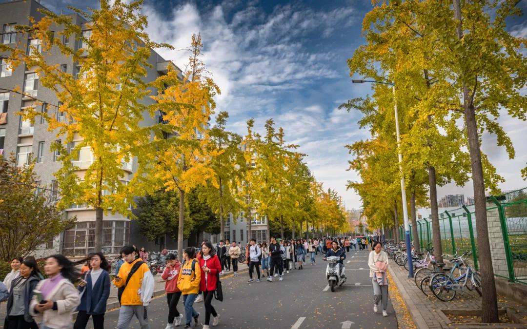 说一说周口师范学院,河南之最之周口师范学院