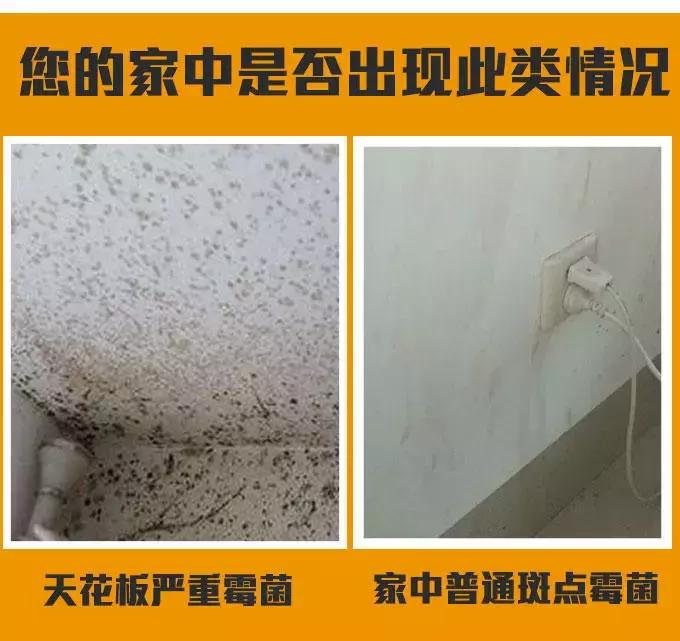 「服务」回南天如何让讨厌的霉菌滚蛋？小卡君教你一招